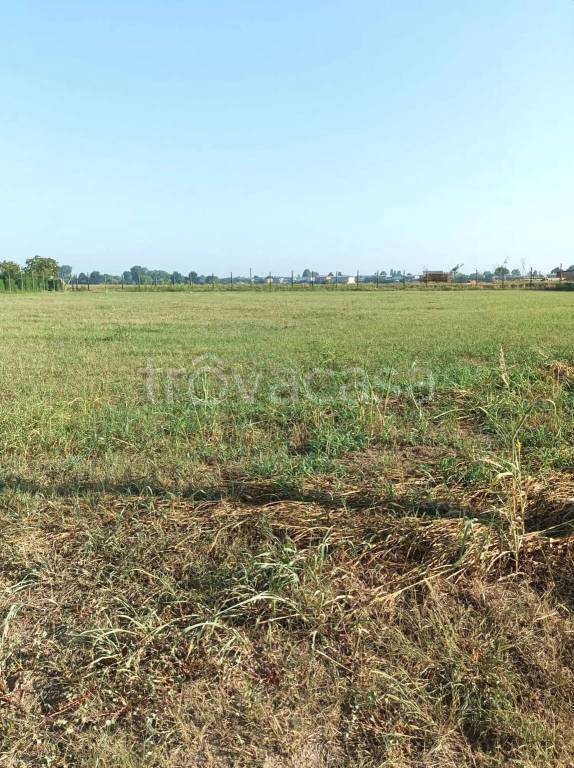 terreno agricolo in vendita a Legnago