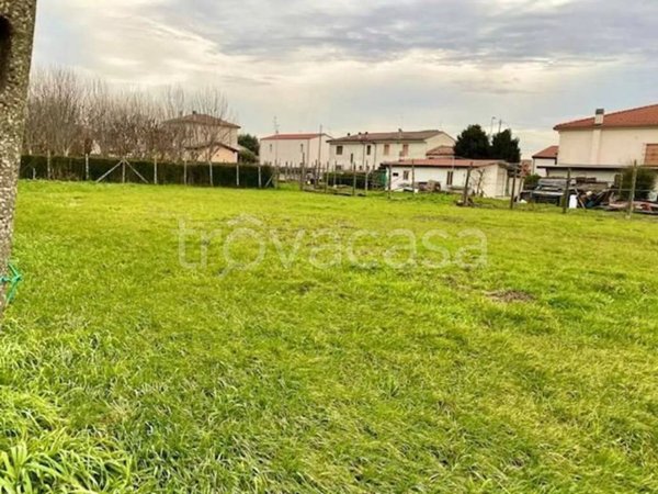 terreno agricolo in vendita a Legnago in zona Vangadizza
