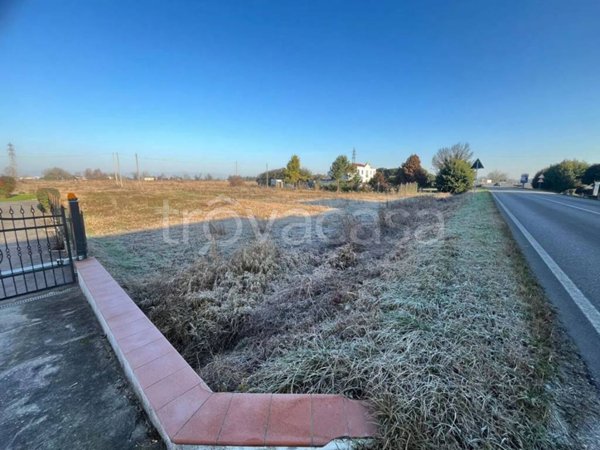 terreno agricolo in vendita a Legnago in zona Porto