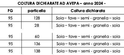 casale in vendita a Legnago