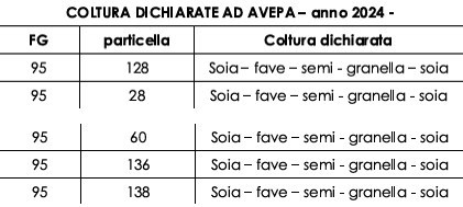 casale in vendita a Legnago