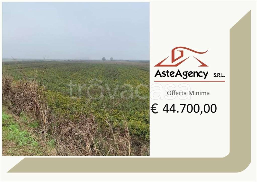 terreno agricolo in vendita a Legnago