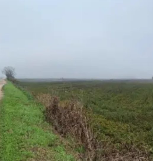 casale in vendita a Legnago