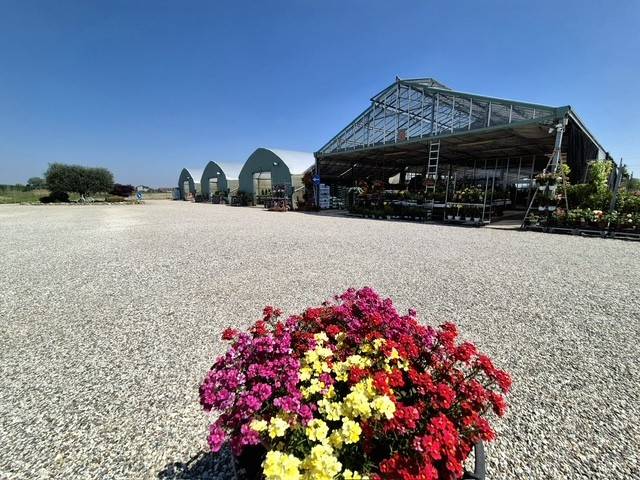 negozio in vendita a Legnago