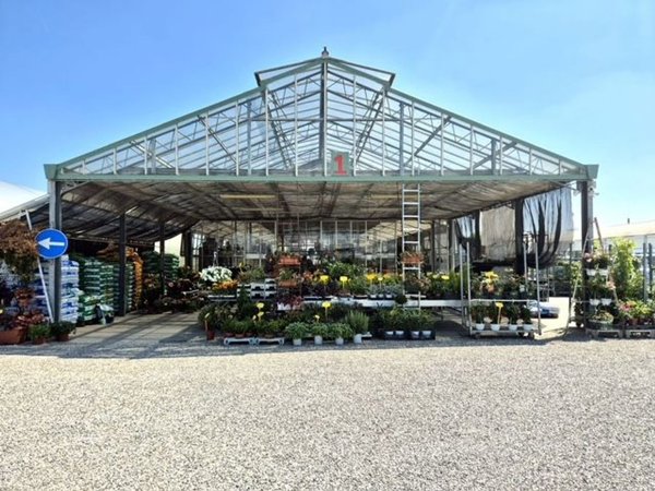 azienda agricola in vendita a Legnago