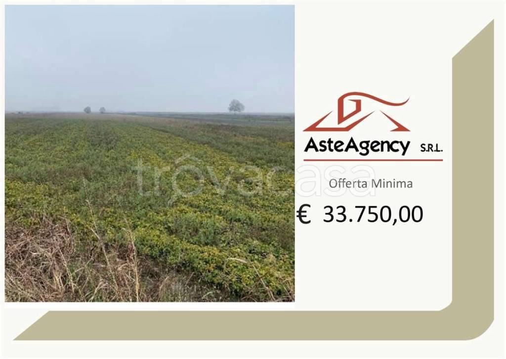 terreno agricolo in vendita a Legnago