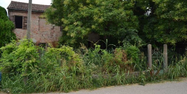 casale in vendita a Legnago
