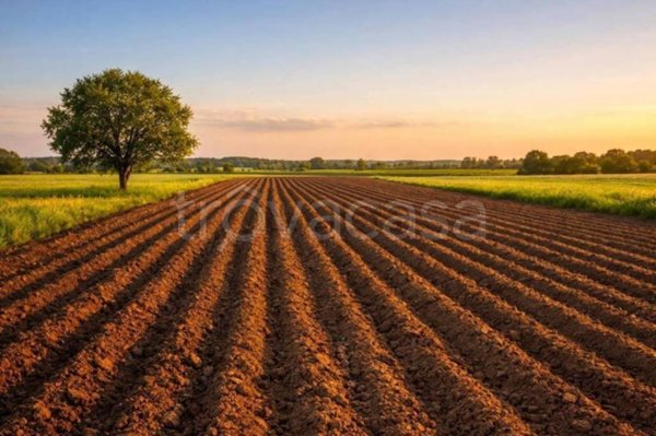 terreno in vendita a Legnago