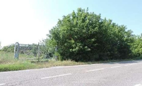 terreno in vendita a Legnago