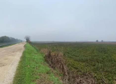 casale in vendita a Legnago in zona Porto