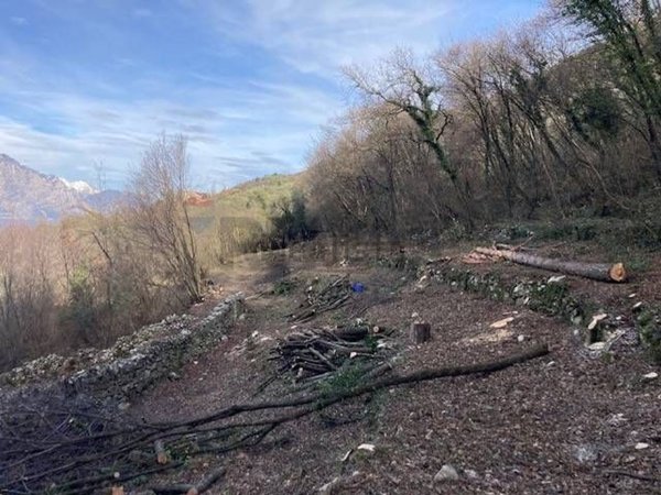 casale in vendita a Malcesine