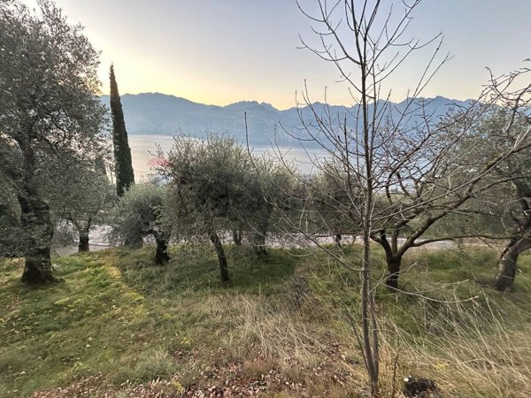 terreno agricolo in vendita a Malcesine in zona Campiano