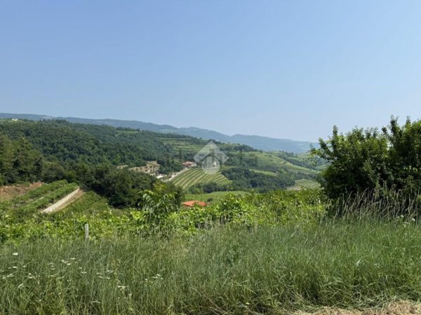 terreno agricolo in vendita a Marano di Valpolicella