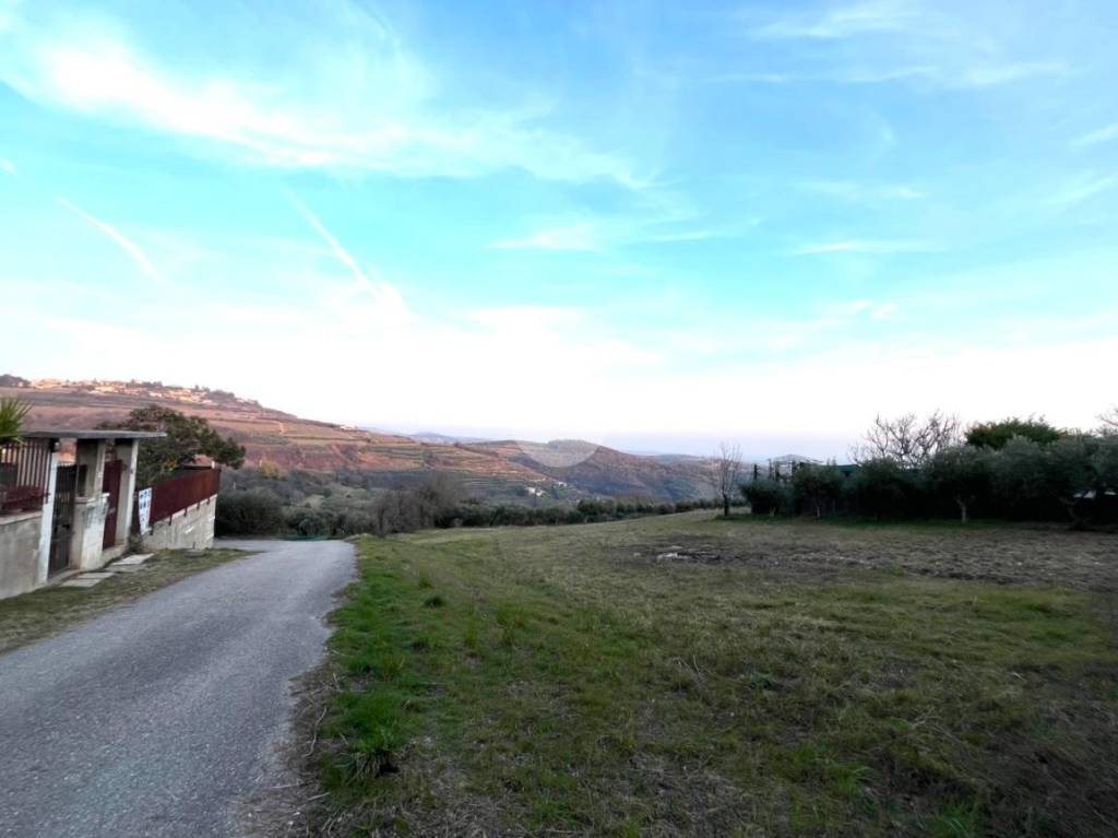 terreno agricolo in vendita a Mezzane di Sotto in zona Castagnè