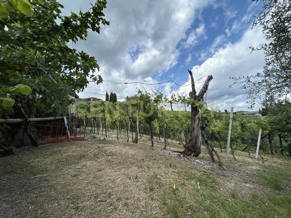 appartamento in vendita a Mezzane di Sotto