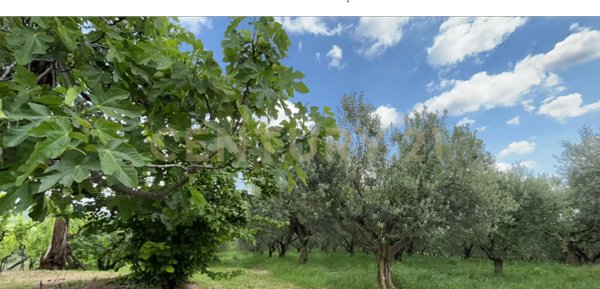 casale in vendita a Mezzane di Sotto