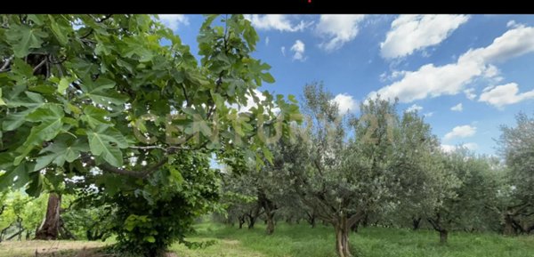 appartamento in vendita a Mezzane di Sotto in zona Castagnè
