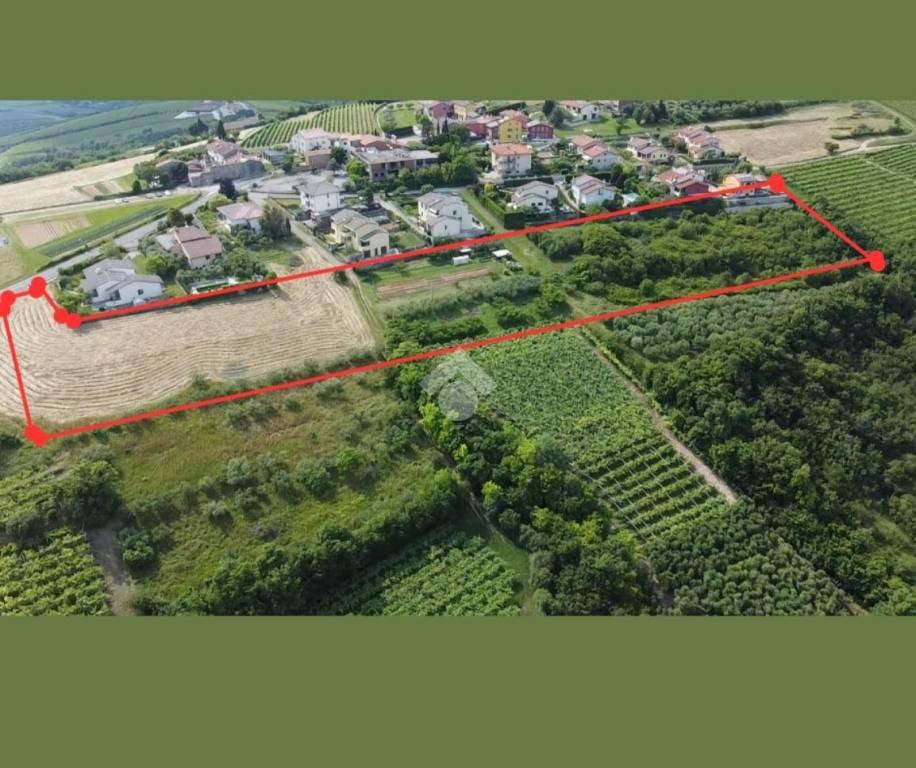 terreno agricolo in vendita a Mezzane di Sotto in zona Castagnè