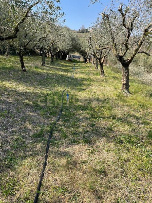monolocale in vendita a Mezzane di Sotto in zona Castagnè