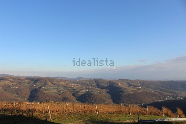 appartamento in vendita a Mezzane di Sotto