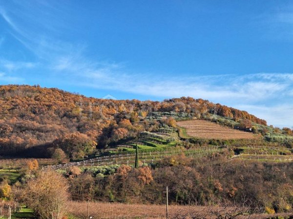 ufficio in vendita a Mezzane di Sotto