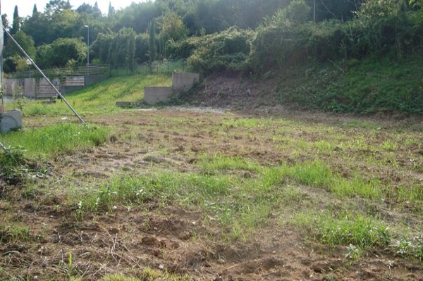 terreno edificabile in vendita a Mezzane di Sotto