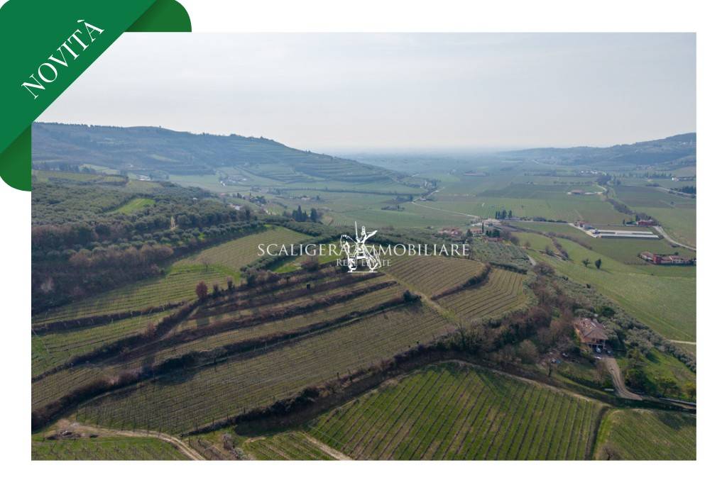 terreno agricolo in vendita a Mezzane di Sotto