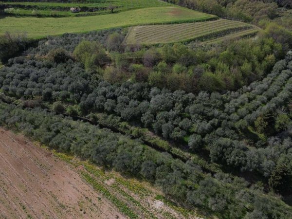 terreno agricolo in vendita a Mezzane di Sotto