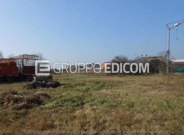 terreno agricolo in vendita a Minerbe