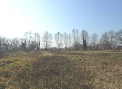 terreno agricolo in vendita a Minerbe