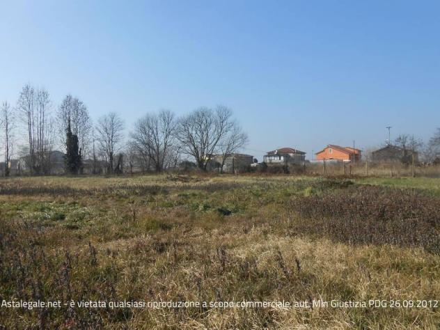 terreno agricolo in vendita a Minerbe
