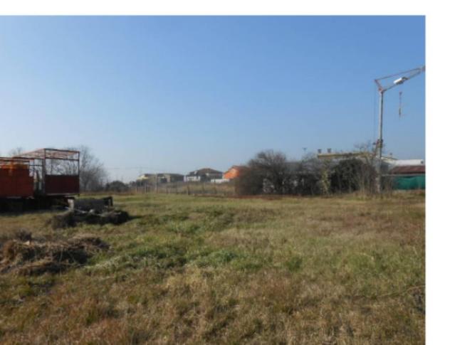 terreno agricolo in vendita a Minerbe