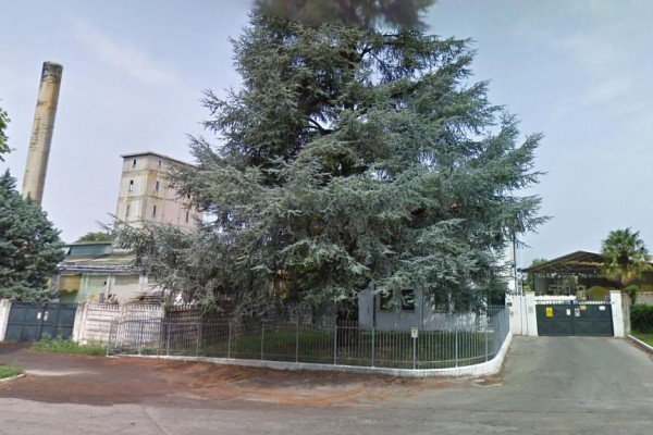 capannone in vendita a Minerbe