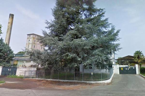 capannone in vendita a Minerbe