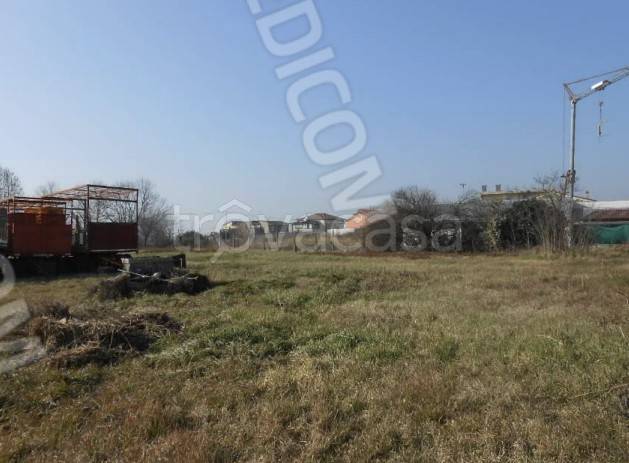 terreno agricolo in vendita a Minerbe