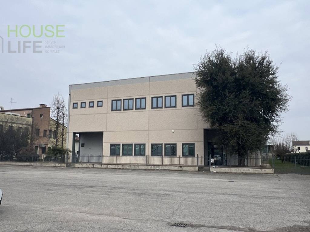locale commerciale in vendita a Minerbe