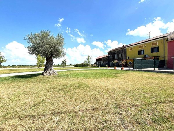 casa indipendente in vendita a Minerbe