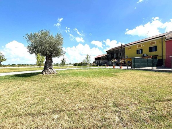 casa indipendente in vendita a Minerbe
