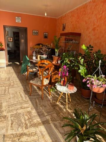 casa indipendente in vendita a Minerbe