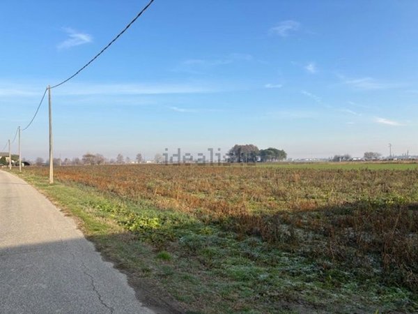 terreno agricolo in vendita a Minerbe