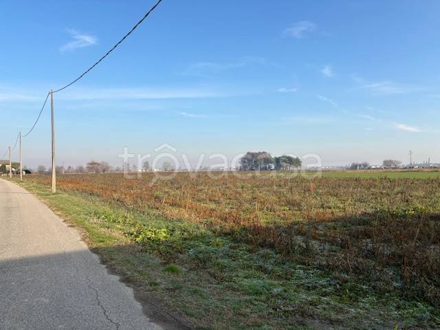 terreno agricolo in vendita a Minerbe