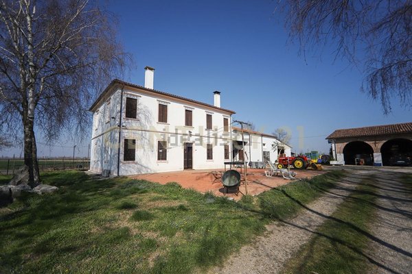 casa indipendente in vendita a Minerbe