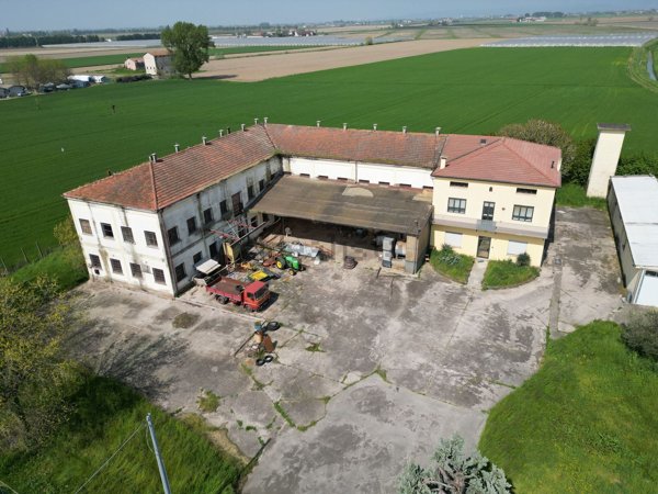 appartamento in vendita a Minerbe in zona San Zenone