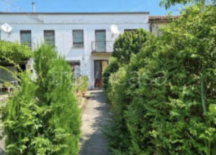 casa indipendente in vendita a Minerbe in zona San Zenone