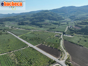 terreno agricolo in vendita a Montecchia di Crosara