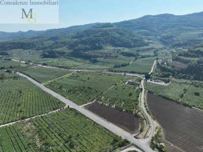 terreno agricolo in vendita a Montecchia di Crosara