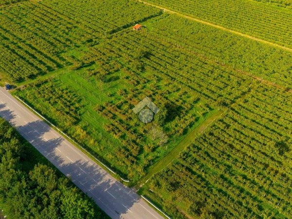 terreno agricolo in vendita a Montecchia di Crosara