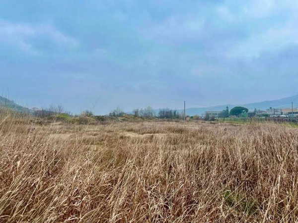 terreno agricolo in vendita a Montecchia di Crosara
