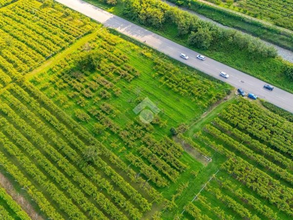 terreno agricolo in vendita a Montecchia di Crosara