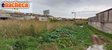 terreno agricolo in vendita a Monteforte d'Alpone